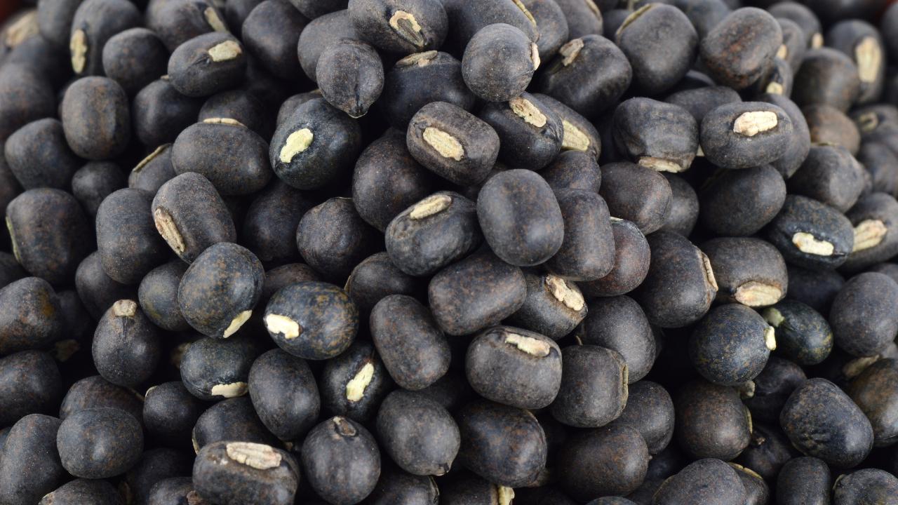 Black Matpe